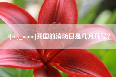 通化我国的消防日是几月几号？