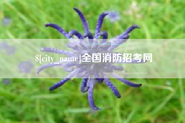 通化全国消防招考网