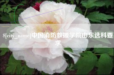 通化中国消防救援学院山东选科要求