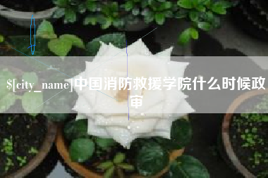 通化中国消防救援学院什么时候政审