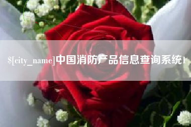 通化中国消防产品信息查询系统1