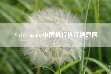 通化中国执行执行信息网