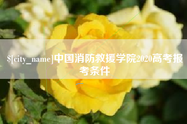 通化中国消防救援学院2020高考报考条件