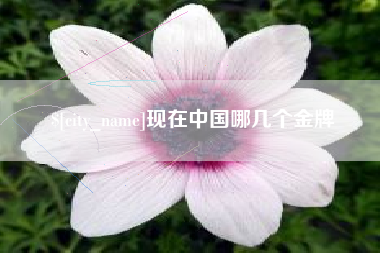 通化现在中国哪几个金牌