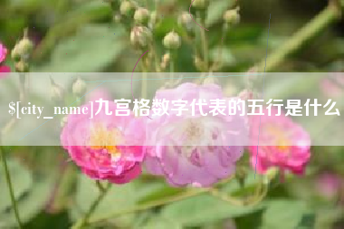 通化九宫格数字代表的五行是什么