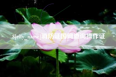 通化消防证国网查询操作证