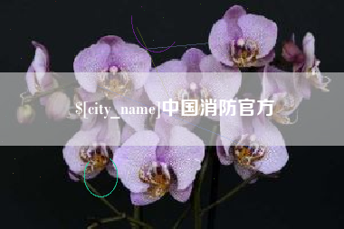 通化中国消防官方