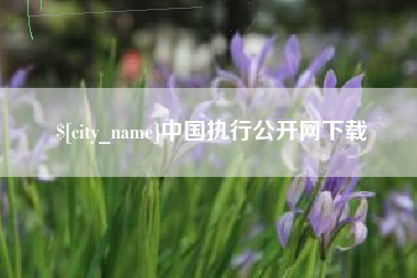 通化中国执行公开网下载