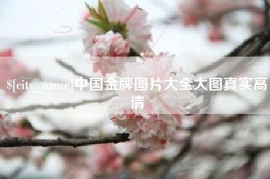 通化中国金牌图片大全大图真实高清