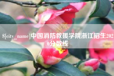 通化中国消防救援学院浙江招生2020分数线