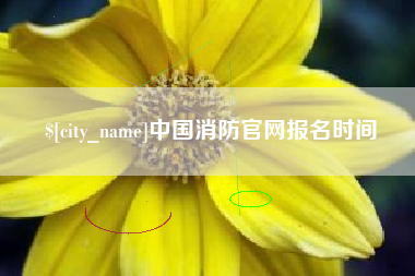 通化中国消防官网报名时间