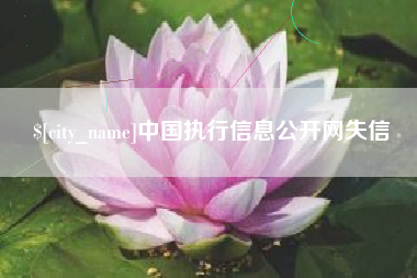 通化中国执行信息公开网失信