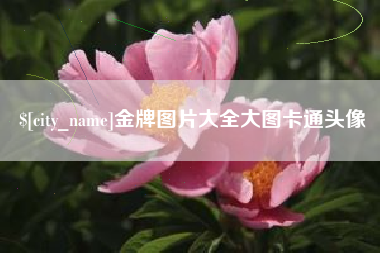 通化金牌图片大全大图卡通头像