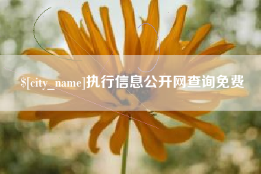 通化执行信息公开网查询免费