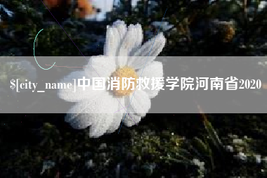 通化中国消防救援学院河南省2020